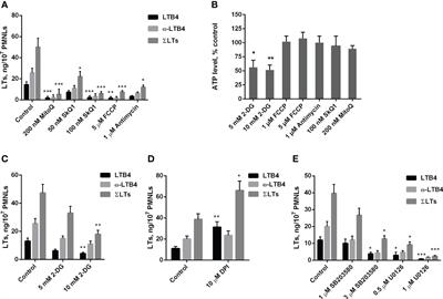 Redox processes are major regulators of leukotriene synthesis in neutrophils exposed to bacteria Salmonella typhimurium; the way to manipulate neutrophil swarming